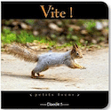Vite !